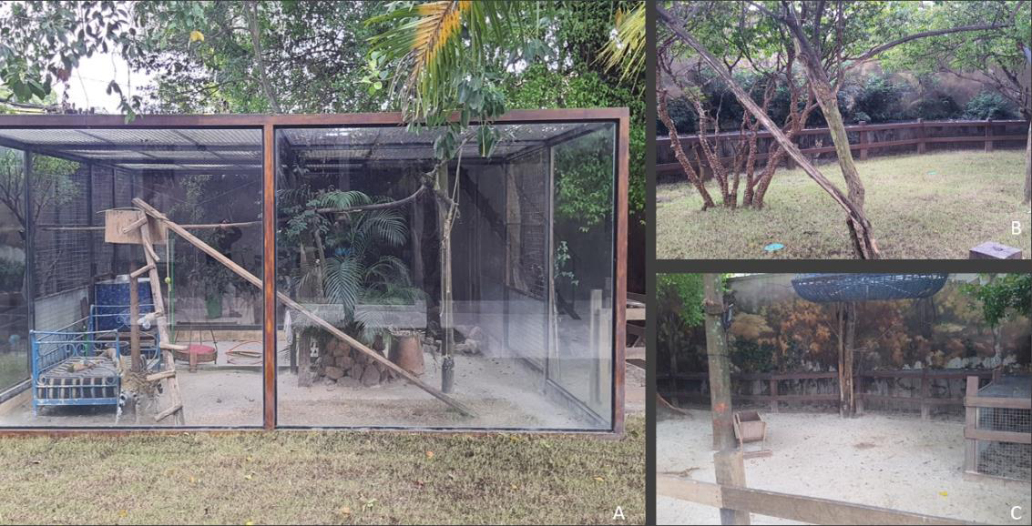 Figure 2: View of the enclosure being respectively, frontal view of the enclosure (A); left animal exchange (B); right animal exchange (C).