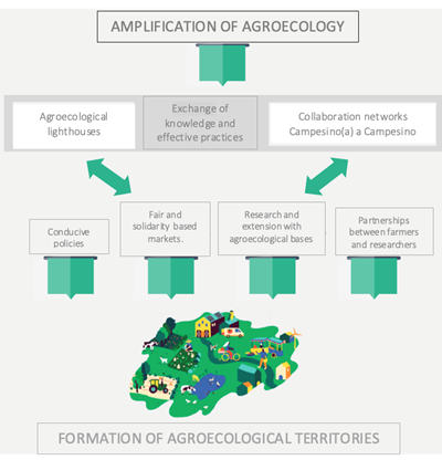 Figure 1: Routes for the amplification of Agroecology from the farm to the territorial level.