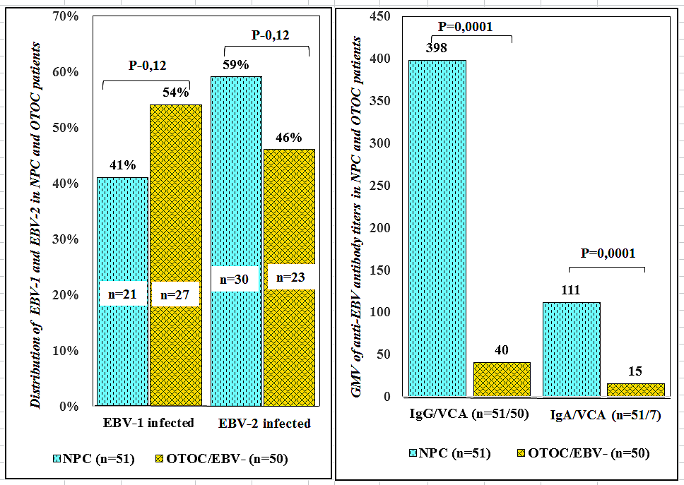 Figure 1: EBV types and serological markers in nasopharyngeal carcinoma (NPC) and other EBV negative tumor of oral cavity (OTOC/EBV-) patients.