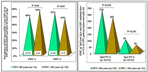 Figure 5: EBV types and serological markers in NPC patients before and after 60 years of age. Discussion The conducted research allowed identifying a practically indistinguishable pattern of association between EBV- 1 and EBV-2 in NPC and OTOC/EBV- patients as well as in NPC patients of two genetically different populations from different geographical and climatic regions of Russia. There were no gender differences in the distribution of virus types among NPC patients. In addition, in NPC patients mono- infected with EBV-1 and EBV-2, approximately the same serological activity of the virus against VCA was detected. There was also no dominance of any virus type in NPC patients with different sizes of primary tumor, tumor- involved lymph nodes, and disease stages (data not shown). The only difference found was a higher prevalence of EBV-1 in NPC patients over 60 years of age and EBV-2 in patients under 60 years, an observation that appears to need further study with more patients in each age group to confirm or refutation of the data obtained.