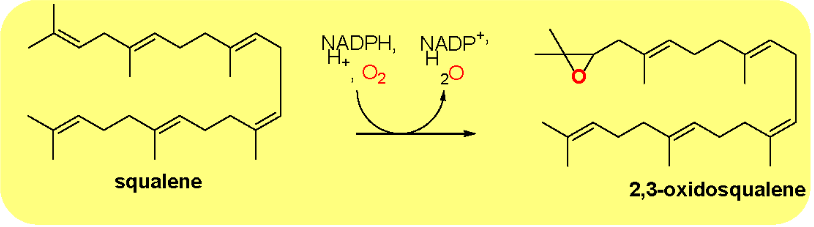 Figure 6: Inhibition of SMO by Terbinafine. The data was taken from Padyana AK, et al. [24] which showed that terbinafine inhibits human SMO with a IC50 value of ~7 mM. The structure of terbinafine is shown with a box of the enzyme moiety that was shown to be critical for binding for this and other SMO inhibitors.