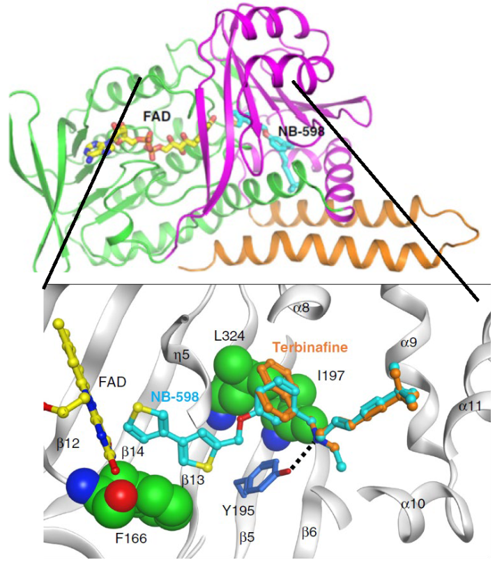 Figure 7