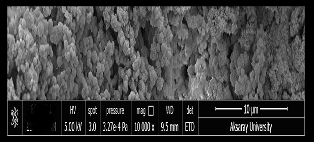 Figure 5: SEM image of Green synthesized iron oxide nanoparticle.