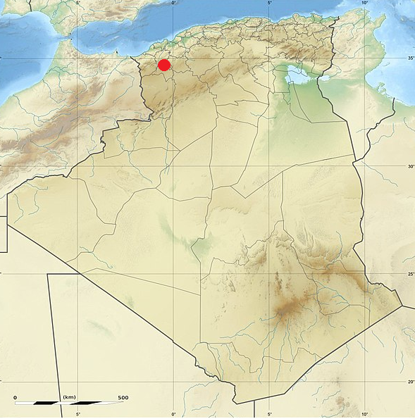 Figure 1: Place where the albino crested porcupine was observed in Algeria.