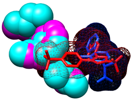 Figure 8: Figure illustrates Inhibitor SC_558 is COX-2 selective because it can fit in the COX-2 site.