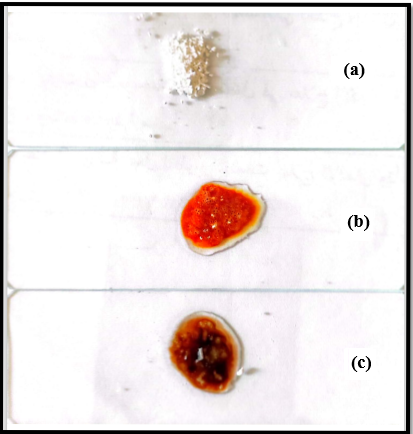 Figure 4: Color Tests of Amphetamine (A) The Sample after Separation, (B) Liebermann Test (C) Marquis Test.