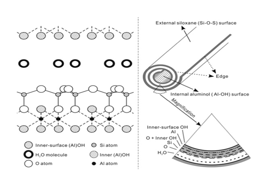 Figure 1: Structure of halloysite clay [6].