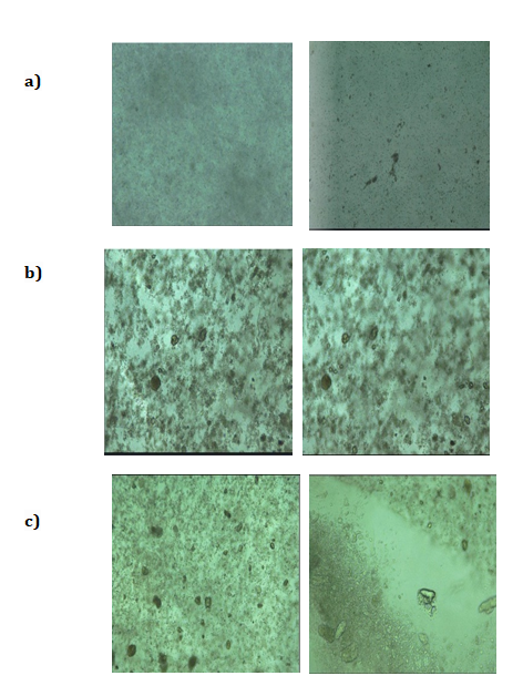 Figure 10: Microscope Images of a) AM/CMC/HNT/AMPS (0) b) AM/CMC/HNT/AMPS (60) c) AM/CMC/HNT/AMPS (300) hydrogels, respectively.