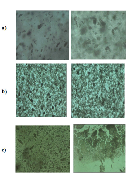 Figure 9: Microscope Images of a) AM/HNT/AMPS (0) b) AM/ HNT/AMPS (60) c) AM/ HNT/AMPS (300) hydrogels, respectively.