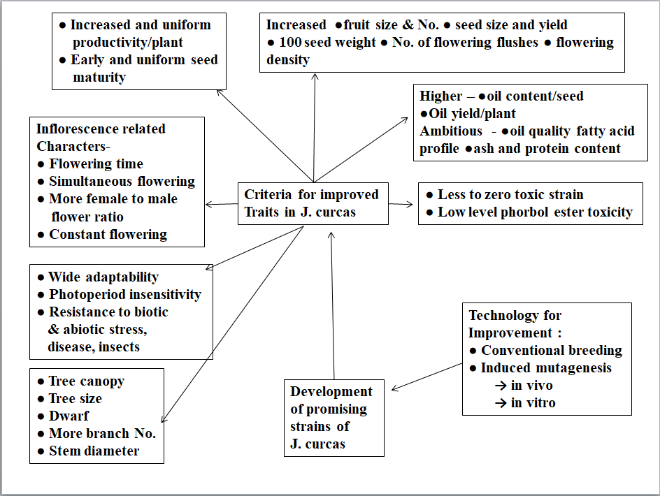 Figure 3: Different components for developing improved traits in J. curcas through breeding.
