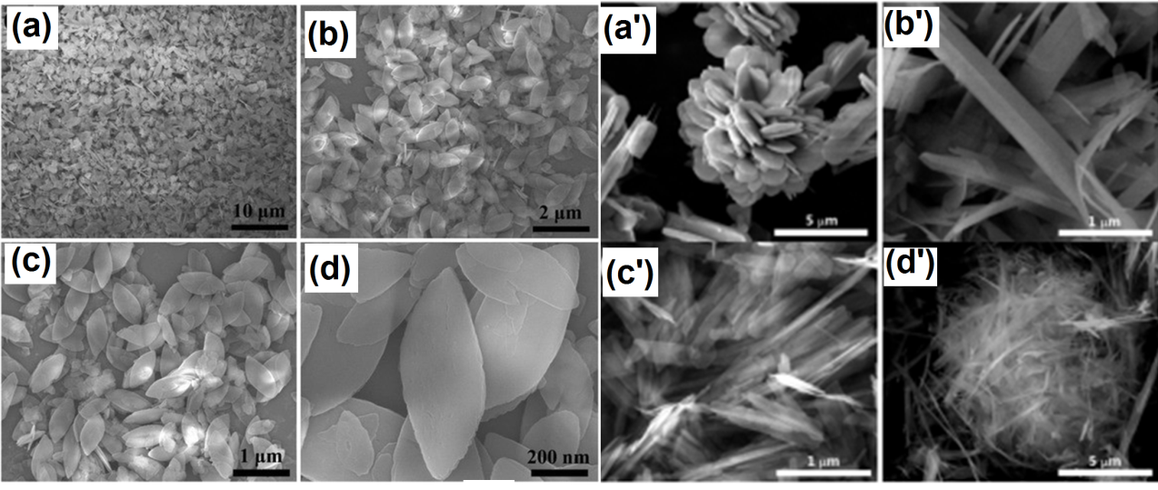Figure 4: (a-d) SEM images of Co3(PO4)2 nanoflakes [28] (a’-d’) SEM images of Co3(PO4)2 samples with different solvents: (a’) sample 3 (50 ml H2O), (b’) sample 2 (45 ml H2O, 5 ml ethanol), (c’) sample 4 (30 ml H2O, 20 ml ethanol), and (d’) sample 5 (10 ml H2O, 40 ml ethanol). Reproduced and reprinted with permission from ref [28,29] Springer and Royal Society of Chemistry.