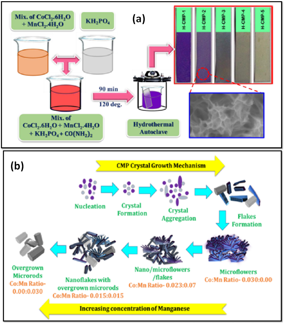 Figure 7: (a) Schematic diagram of the hydrothermal method for cobalt manganese phosphate thin film deposition (b) Schematic representation of crystal growth with morphological evolution of the cobalt manganese phosphate nano/microstructure. Reproduced and reprinted with permission from ref [53] American Chemical Society.