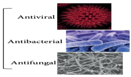 Figure 4: Differences between antiviral, antibacterial and antifungal activity[42].