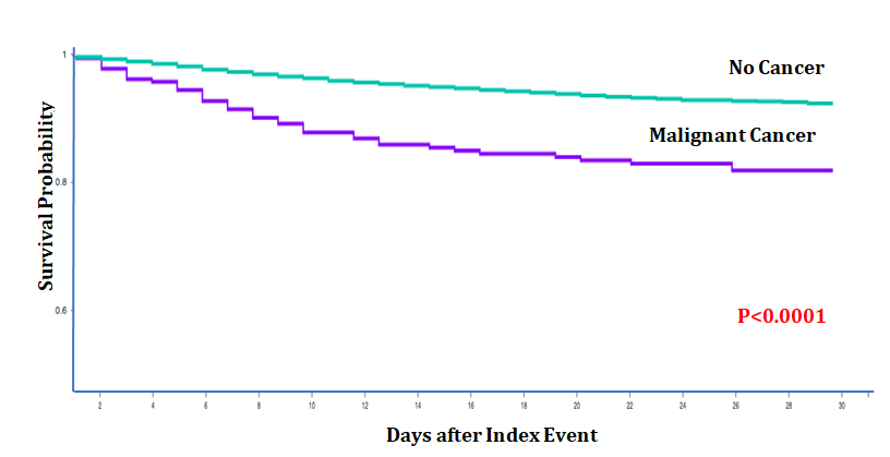 Figure 1: Kaplan Meier Survival Curve.