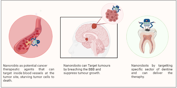 Figure 1: Nanorobots targeting various diseased areas.