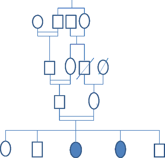 Figure 1: F1 family tree: F1P1 (Family 1, patient 1), F1P2 (Family 1, Patient 2).