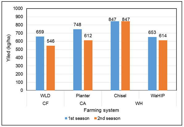 Figure 11: Rainfall and CWR during the growing season for sesame crop in both seasons.