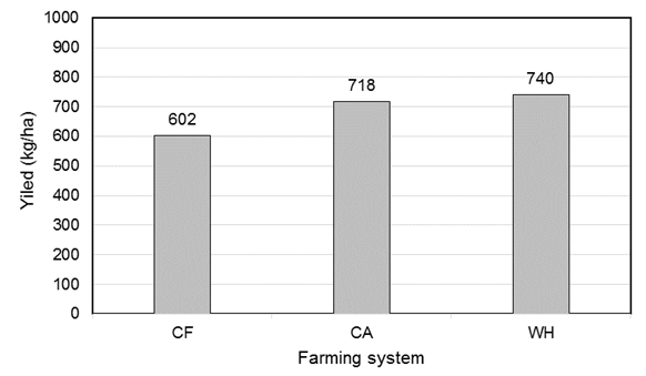Figure 12: Effects of farming systems on sesame growth during the two seasons The WH (Chesil and WaHIP) gave the highest average sesame seed yield (740.2 kg/ha) followed by the CA (718.2 kg/ha) and the lowest yield was obtained by CF (602.3 kg/ ha) in both seasons. The increase of sesame seed yield by WH (Chesil and WaHIP) and CA over CF was 23% and 19%, respectively, while the increase by the WH over CA was 3%. The Chesil plow is the best practice for the WH farming system in semi-arid areas (Figure 13). The Results agreed with Oztürk F [30] reported seed yield and weed density were positively affected by the tillage methods, the increase in the seed yield observed at Conservation tillage.
