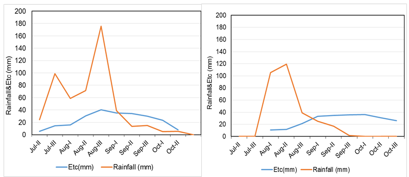 Figure 6: Rainfall and CWR during the growing season in 2015 and 2016.