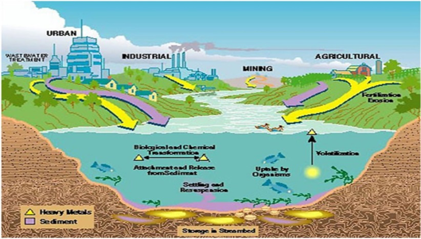 Figure 2: Different sources of heavy metals in surface waters [28].