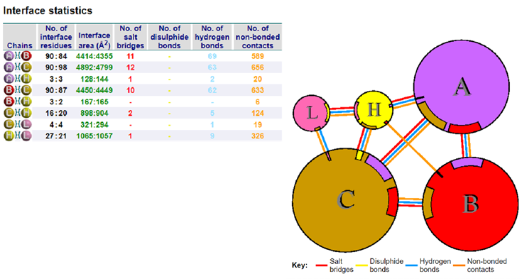 Figure 5: Interacting residues of the Chain A of Spike protein of the Omicron variant and the heavy chain of the It28 antibody.