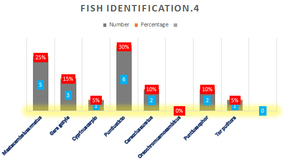 Figure 5: Fish Identification-6.