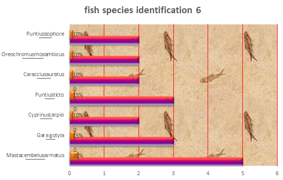 Figure 6: Fish Identification-7.