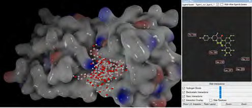 Figure 5: Representation of Isovitexin-2’’-O-rhamnoside (2’’-O-alpha-L-Rhamnopyranosyl-isovitexin) molecule at the active site of 6LU7 in molecular docking.