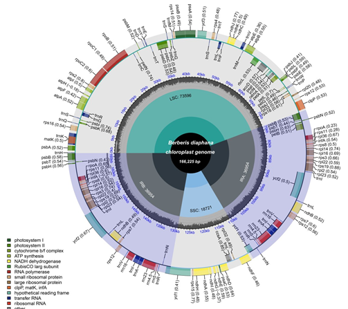 Figure 2: Chloroplast genome overall features map of _B. diaphana_. From the center outward: the first track shows the small single-copy (SSC), inverted repeat (IRa and IRb), and large single-copy (LSC) regions. The GC content along the genome is plotted on the second track. The genes are shown on the third track. The optional codon usage bias is displayed in the parenthesis after the gene name. Genes are color-coded by their functional classification. The transcription directions for the inner and outer genes are clockwise and anticlockwise, respectively. The functional classification of the genes is shown in the bottom left corner.