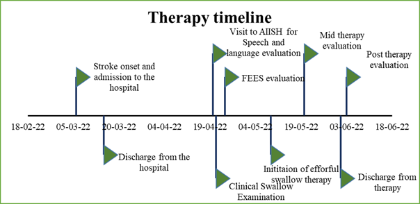 Figure 1: Timeline of Participant Therapy Care at the Centre for Swallowing Disorders.