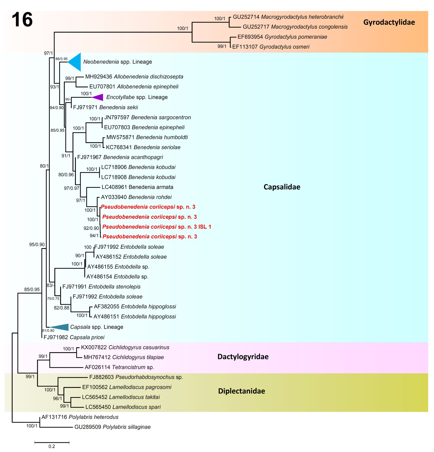 Figure 6