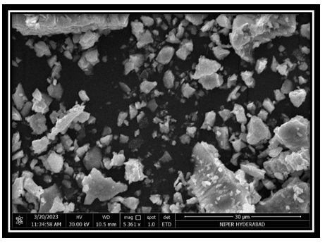 Figure 12: Microscopical images of Bhasma.