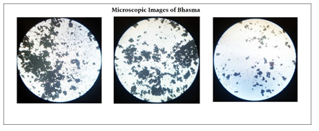 Figure 14: SEM Analysis of Bhasma.