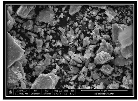 Figure 15: SEM Analysis of Bhasma.