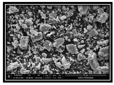 Figure 16: SEM Analysis of Bhasma.