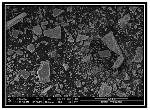 Figure 17: SEM Analysis of Bhasma.