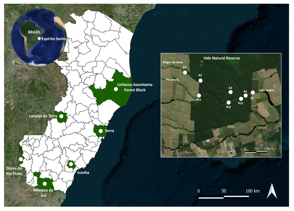Figure 1: Location of the Linhares-Sooretama Forest Block in the north of Espírito Santo, southeastern Brazil, with the location of previous confirmed records of Trichodactylus fluviatilis in the state (Dores do Rio Preto, Iconha, Laranja da Terra, Mimoso do Sul and Serra) (A). The studied streams and the location of sampling stations are also indicated (A = Alegre de Cima, Pc = Paciência, JP = João Pedro) (B) [Source of the satellite images: Google Maps].