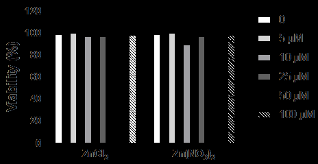 Figure 2: Viability analysis by flow cytometry of HaCaT cells cultured in the absence or presence of Zn2+ ions. HaCaT cells were incubated with Zn2+ ions (5.0; 10; 25; 50 and 100 μM) for 48 h. Cell viability was evaluated by flow cytometry using propidium iodide. Values represent mean ± standard error of the mean of three individual experiments performed in duplicates and are expressed relative to control (cells cultured in the absence of Zn2+). 10000 events were acquired per sample.