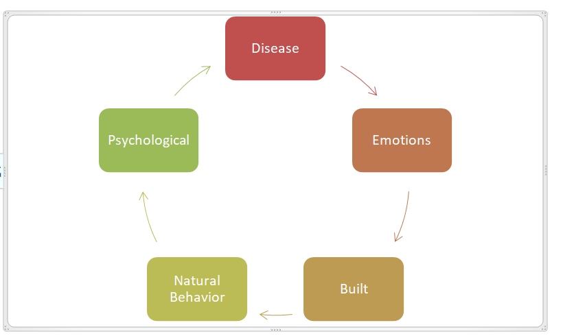 Figure 4: Individual’s risk management.