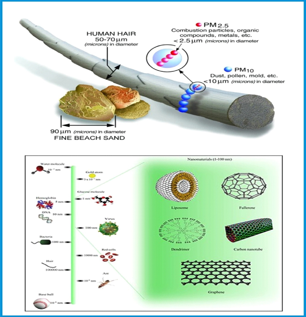 Figure 4: Size comparisons of PM particles with average human hair (Comparison of nanomaterials sizes) [14,15].
