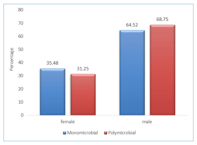 Figure 1: Participants Gender Composition in the Study.