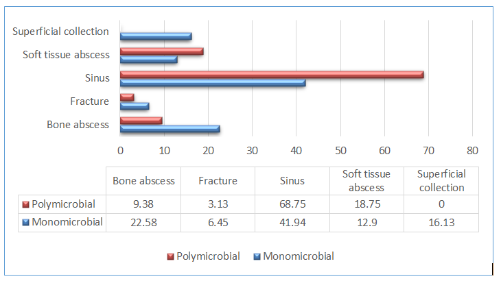 Figure 3: The most common bone affected was the tibia, which accounted for 50% in poly-microbial OM patients. The femur was the second bone of predilection.
