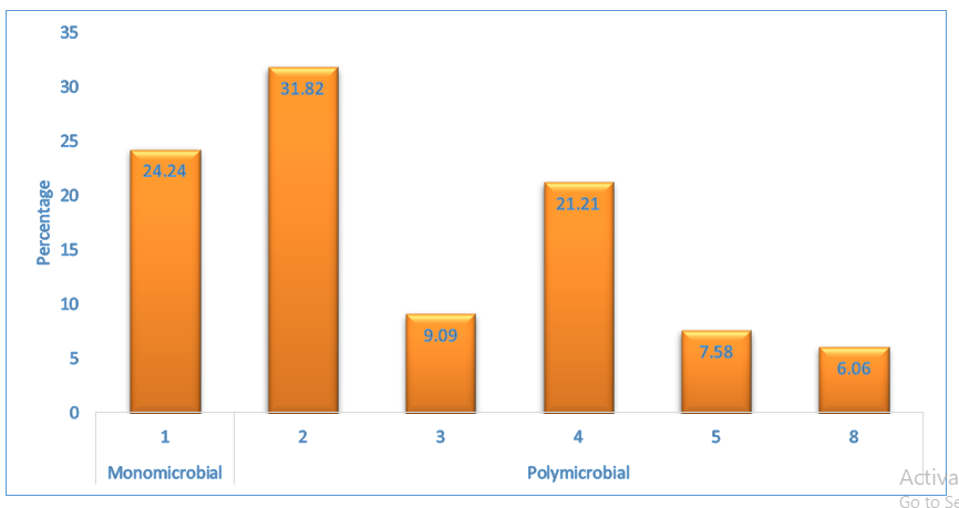 Figure 5: Classification distribution.