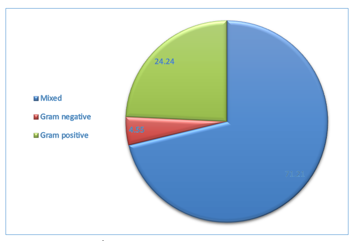 Figure 6: The poly-microbial OM group is defined as individuals with two or more micro- organisms isolated. Most of the poly-microbial OM patients had two pathogens (31.82%) isolated and 21.21% had four pathogens isolated individually.