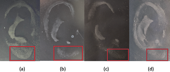 Figure 4: Ear Lobe Forms (A) Tongue (B) Square (C) Arched (D) Triangular.