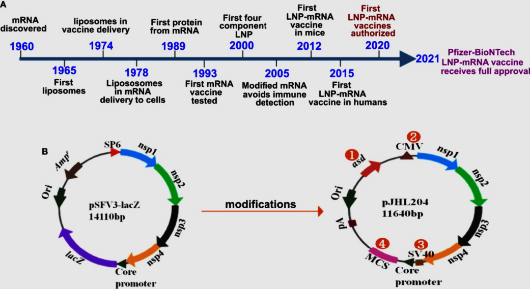 Figure 1: Advances in mRNA vaccine development.