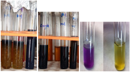 Figure 8: Acid tolerance, bile tolerance and Arginine hydrolysis of buttermilk.