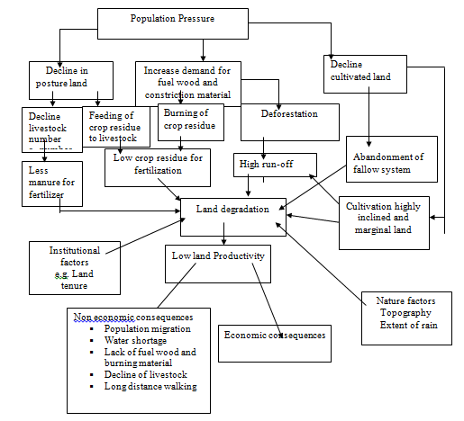 Figure 1: Schematic presentations of cause and effect of land Degradation Source: adapted from Abera (2003).