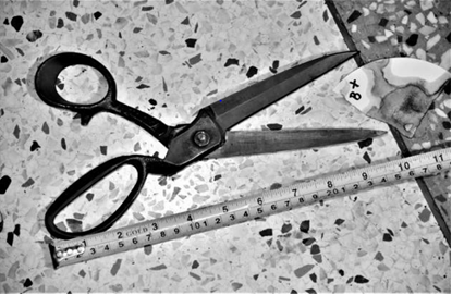 Figure 5: Traces of Blood on Weapon of Offence.