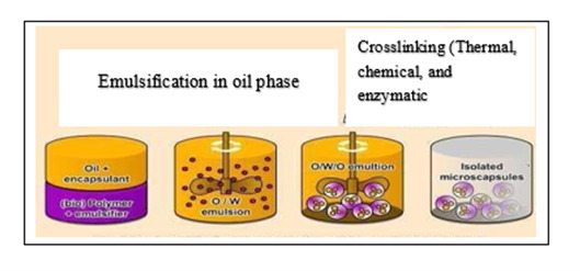 Figure 4: Double Emulsion Technique.